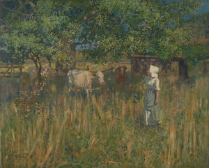 Tess door James McLachlan Nairn